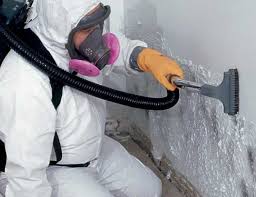 Ashtabula, OH Mold Removal Company